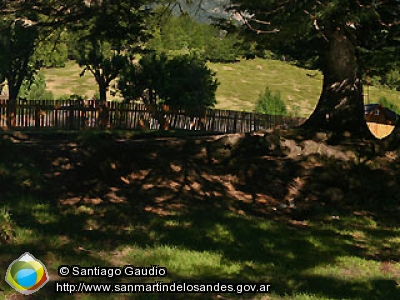 Panorámica 360º Lago Correntoso (Santiago Gaudio)