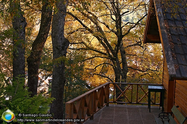 Foto Deck al bosque (Santiago Gaudio)