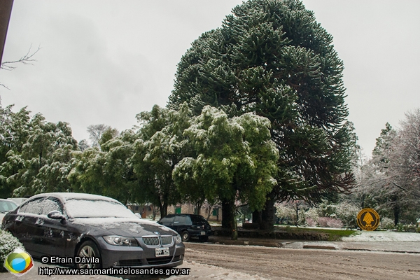 Foto Nevada en el centro (Efrain Dávila)