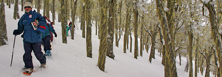 Caminatas con raquetas de nieve - Santiago Gaudio