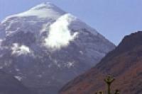 Foto Volcán Lanín y pequeña araucaria (Santiago Gaudio)